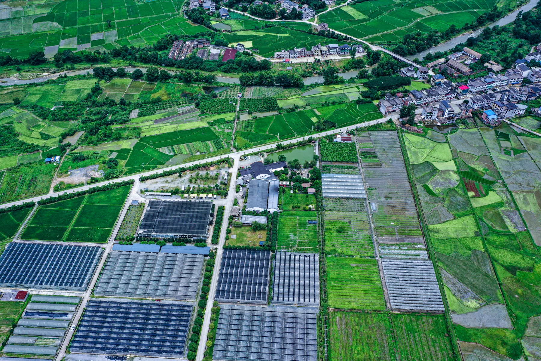 Aerial photograph of Zen Farm and its growing structures in Yichun