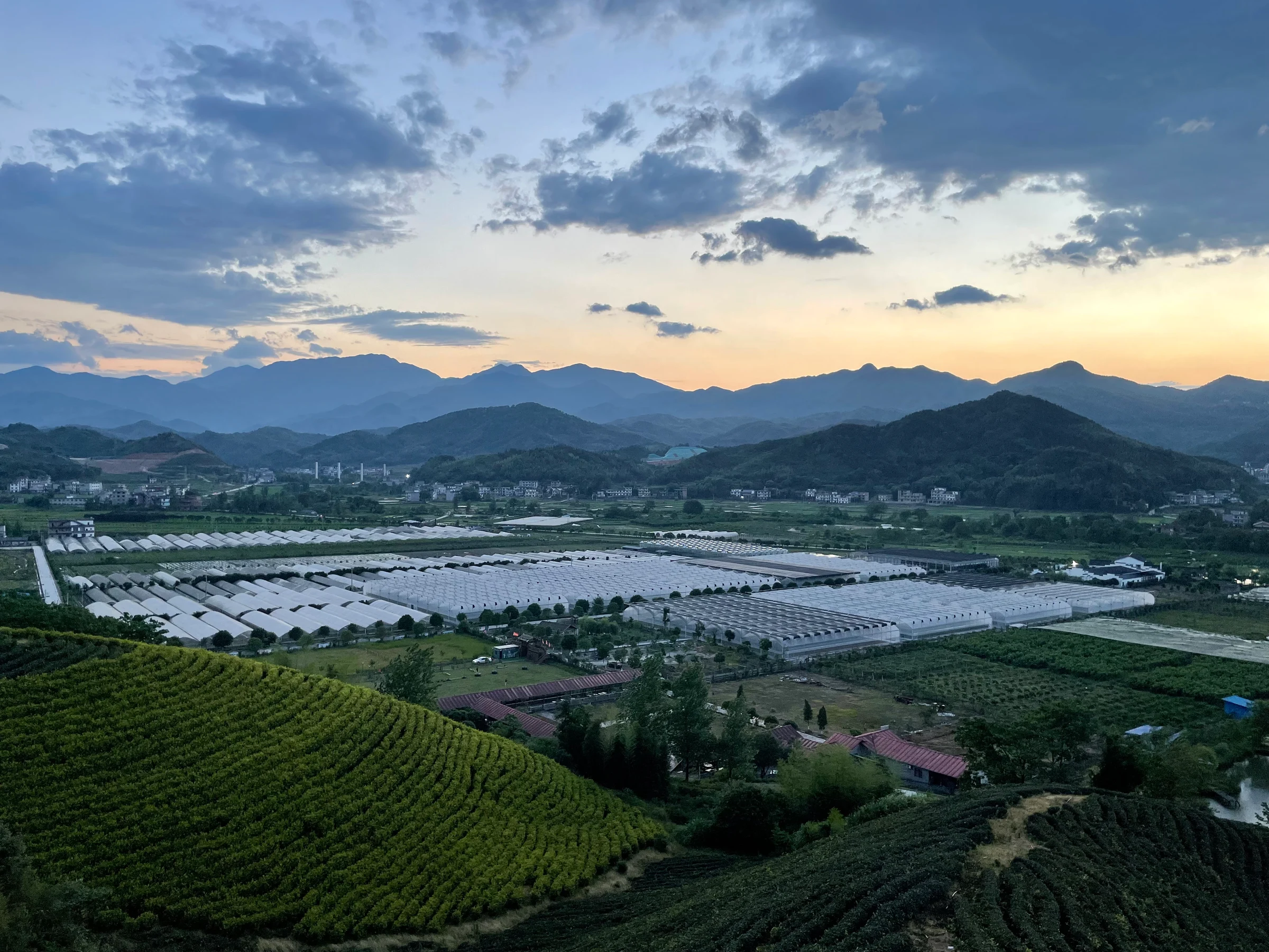 Forested hills and fields around Zen Farm