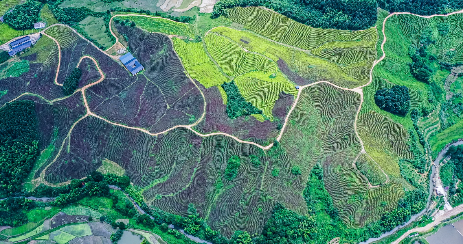 Around Zen Farm · an aerial view of the fields